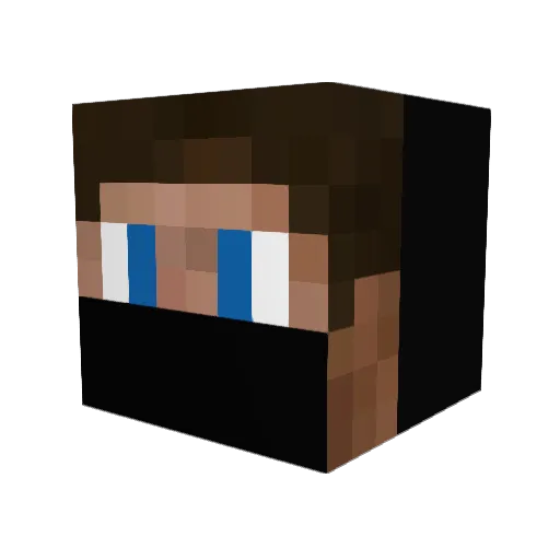 baseballBoy712 Minecraft avatar head, 3D render