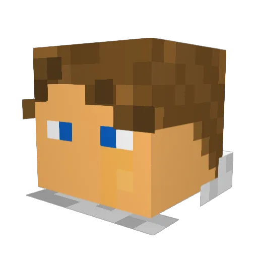 baseball_is_life Minecraft avatar head, 3D render