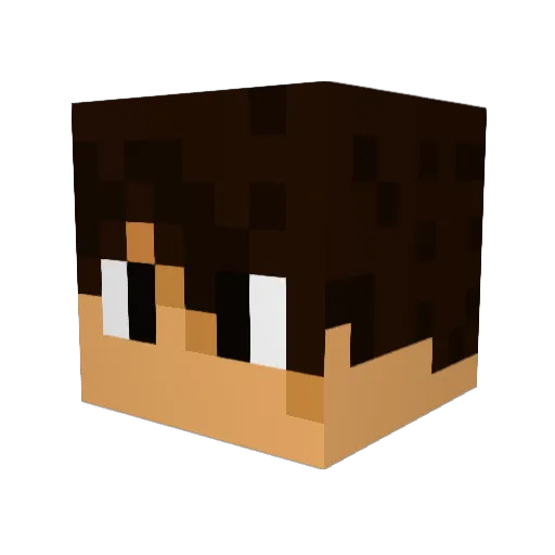 baseball_ninja7 Minecraft avatar head, 3D render