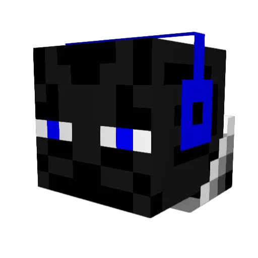baseballstud304 Minecraft avatar head, 3D render