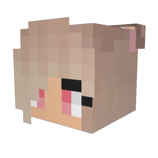 basedcamp Minecraft avatar head, 3D render