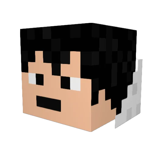 bash_ Minecraft avatar head, 3D render