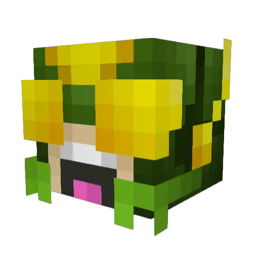 bashabashabasha Minecraft avatar head, 3D render