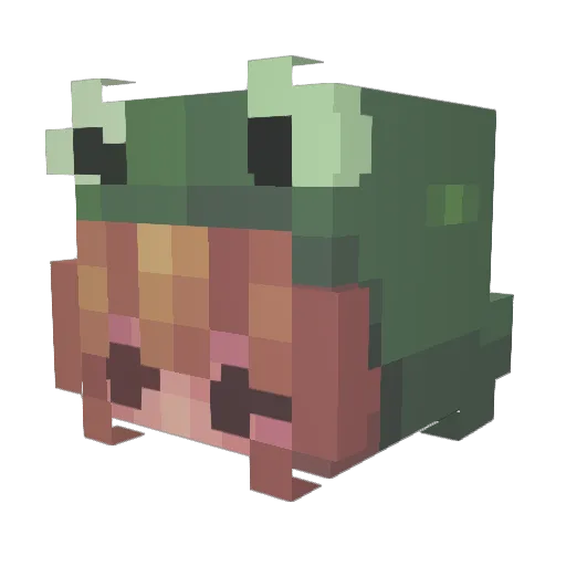 bashchk Minecraft avatar head, 3D render