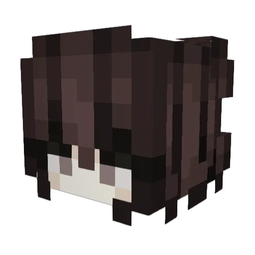 bashfulkayla Minecraft avatar head, 3D render