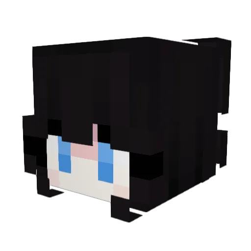 bashua Minecraft avatar head, 3D render