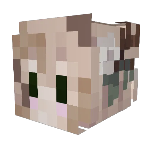 basically Minecraft avatar head, 3D render