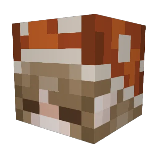 basicbitc Minecraft avatar head, 3D render