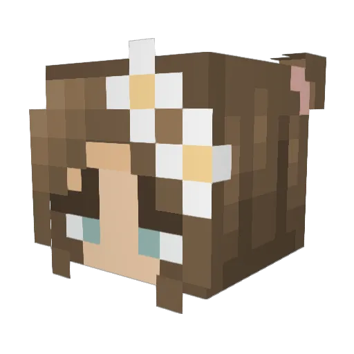 basicbtch2209 Minecraft avatar head, 3D render