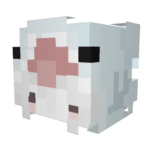 basiilll Minecraft avatar head, 3D render