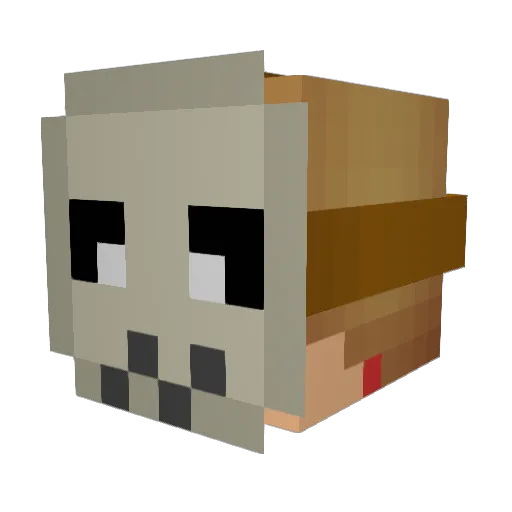 basilio06 Minecraft avatar head, 3D render