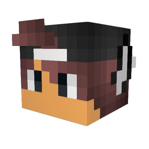 basinator456 Minecraft avatar head, 3D render