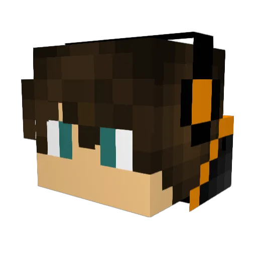 basket4ever Minecraft avatar head, 3D render