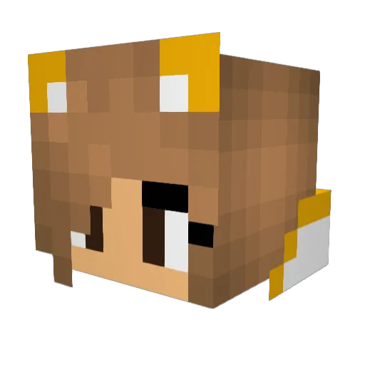 basketball208 Minecraft avatar head, 3D render