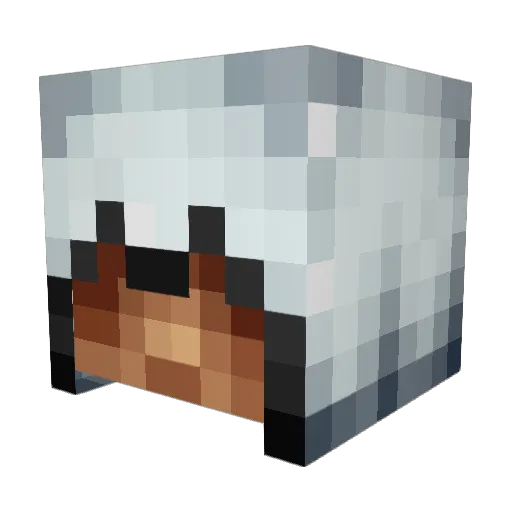 basketball2499 Minecraft avatar head, 3D render