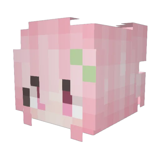 baskwa Minecraft avatar head, 3D render