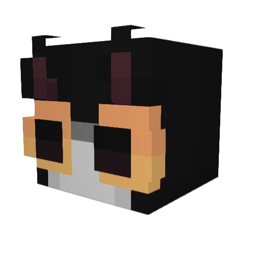basshunter420 Minecraft avatar head, 3D render