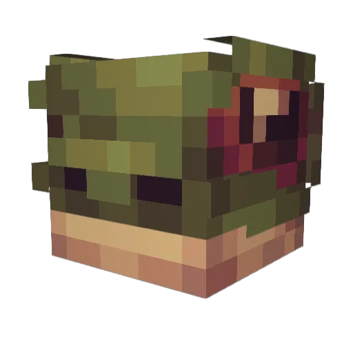 bassman7573 Minecraft avatar head, 3D render