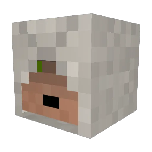 bassplayer96 Minecraft avatar head, 3D render