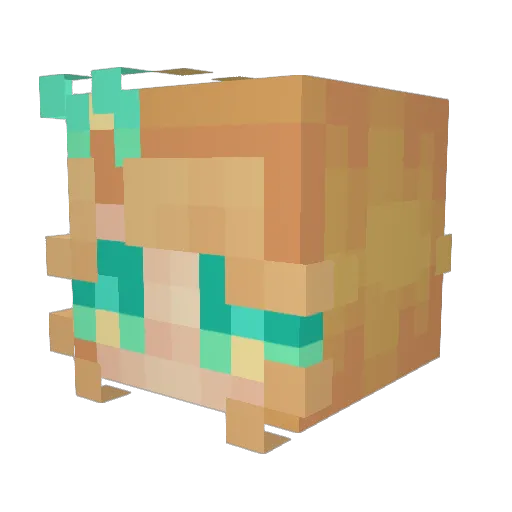 basspro22 Minecraft avatar head, 3D render