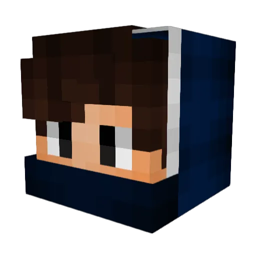 basssem905 Minecraft avatar head, 3D render