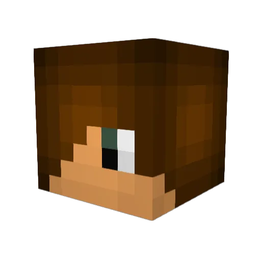 bast2699 Minecraft avatar head, 3D render