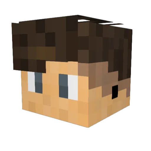 bastianG09 Minecraft avatar head, 3D render