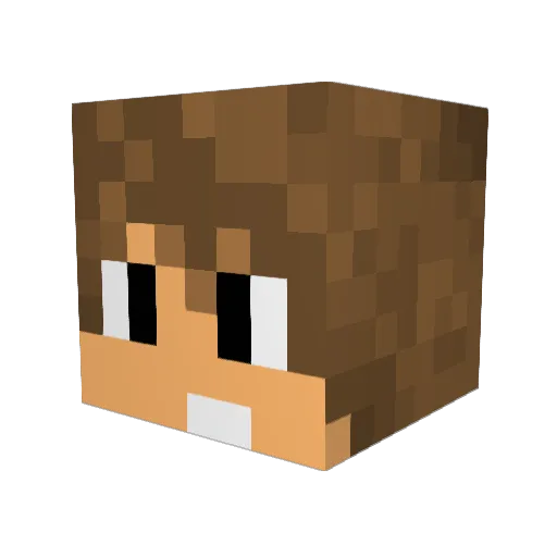 bastionhawk Minecraft avatar head, 3D render