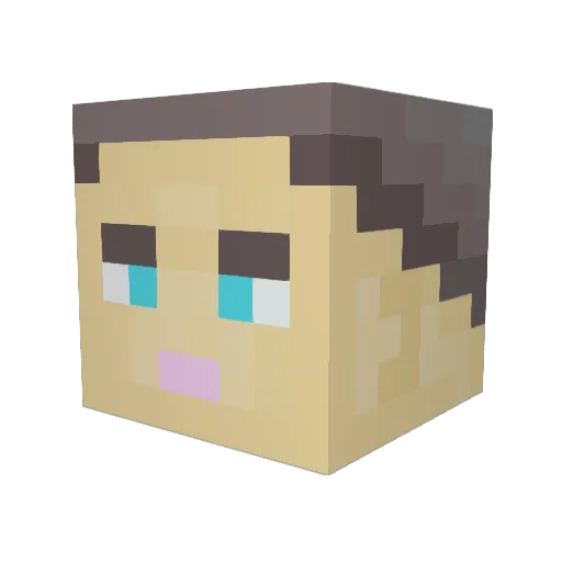 bastiwp Minecraft avatar head, 3D render