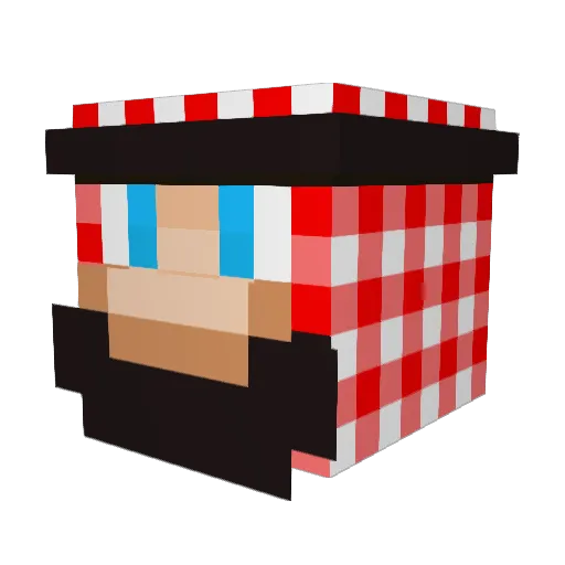 basty2 Minecraft avatar head, 3D render