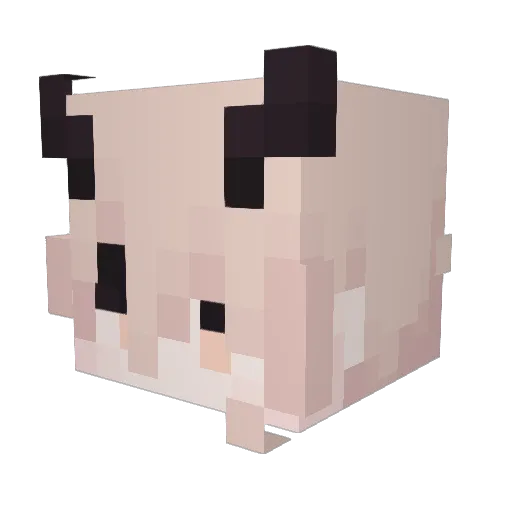 bat_twink Minecraft avatar head, 3D render