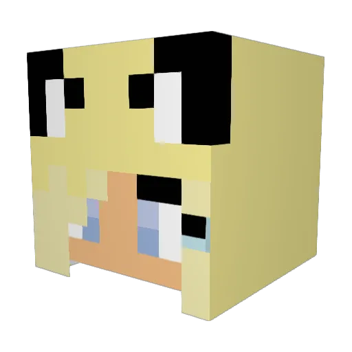 batdog1107 Minecraft avatar head, 3D render