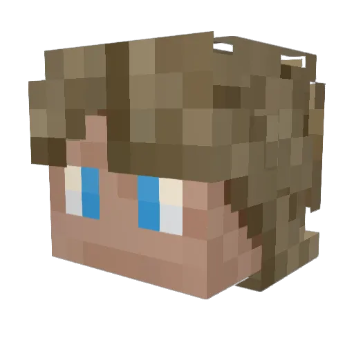 batfinn24 Minecraft avatar head, 3D render