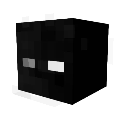 bathF12 Minecraft avatar head, 3D render