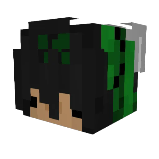 bathtimebaby Minecraft avatar head, 3D render