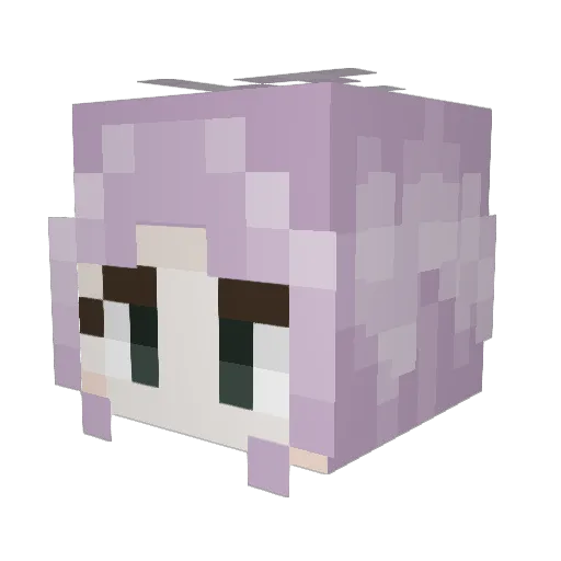 bathtubsnake Minecraft avatar head, 3D render