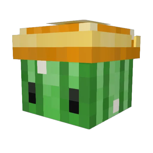 bathwatere Minecraft avatar head, 3D render