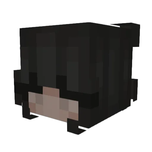 batkicker68 Minecraft avatar head, 3D render