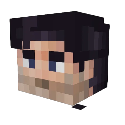 batman17_ Minecraft avatar head, 3D render