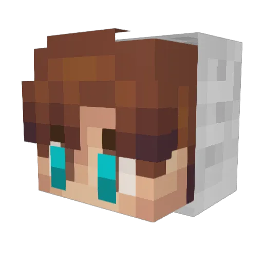 batman40 Minecraft avatar head, 3D render