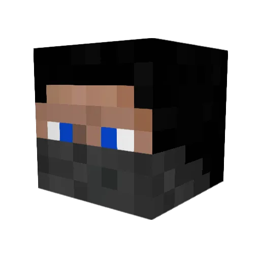 batsed Minecraft avatar head, 3D render