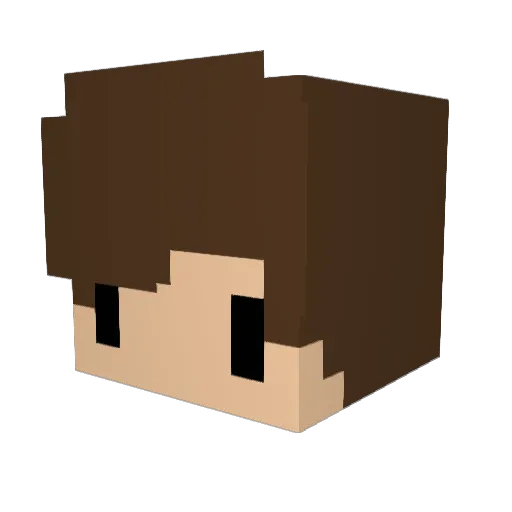 batsfromparis Minecraft avatar head, 3D render
