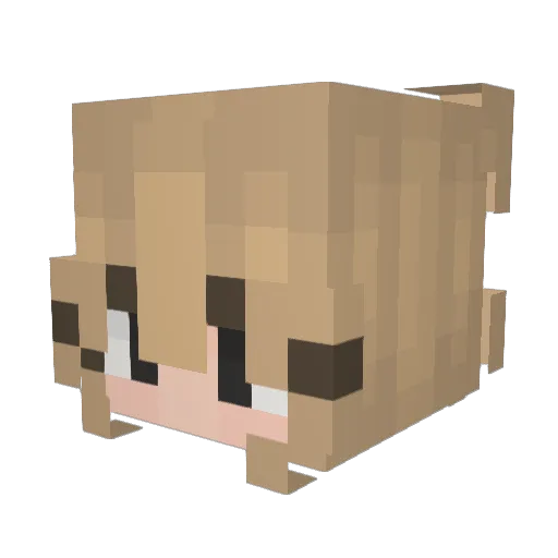 battlecube2 Minecraft avatar head, 3D render