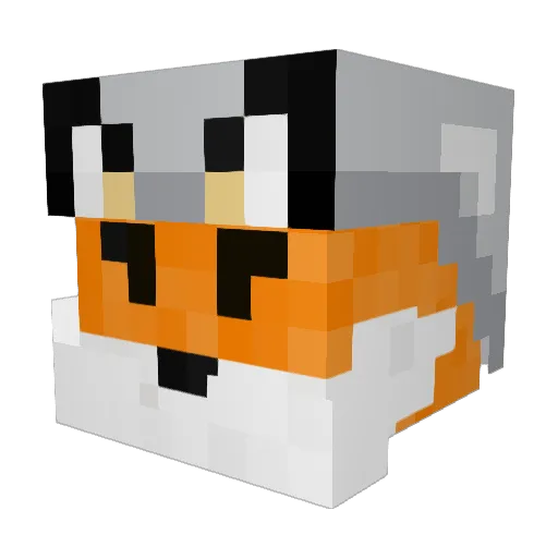 battlefox3000 Minecraft avatar head, 3D render