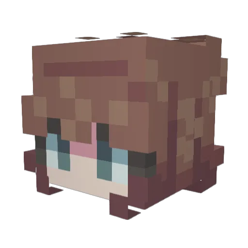 batuwann1 Minecraft avatar head, 3D render