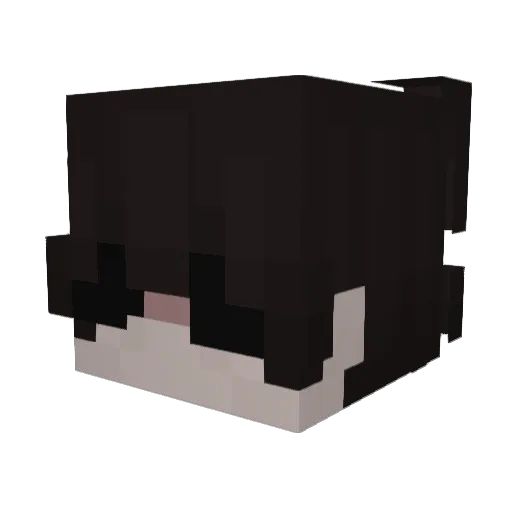 batxv Minecraft avatar head, 3D render