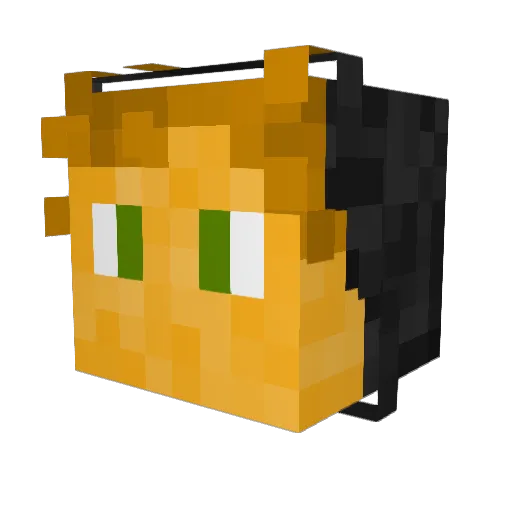 bau_tv Minecraft avatar head, 3D render