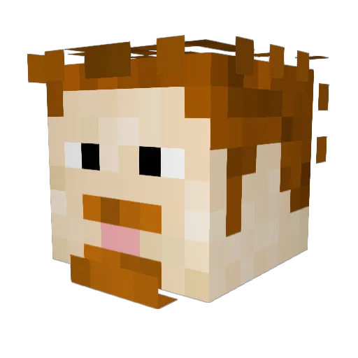 baulplart69 Minecraft avatar head, 3D render