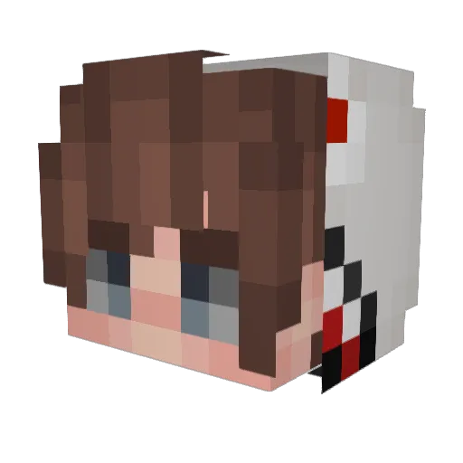 baumdesgottes Minecraft avatar head, 3D render