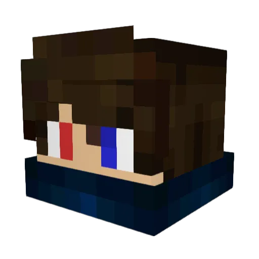 baumstamm5 Minecraft avatar head, 3D render